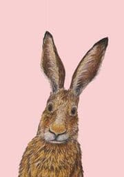 Cover von Postkarte 'Ich heiße Hase, und...'