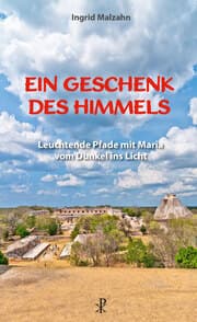 Cover von Ein Geschenk des Himmels