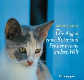 Cover von Die Augen einer Katze sind Fenster in eine andere Welt