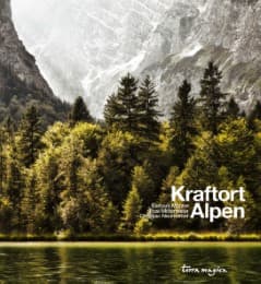 Cover von Kraftort Alpen
