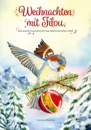 Cover von Weihnachten mit Filou