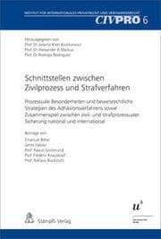 Cover von Schnittstellen zwischen Zivilprozess und Strafverfahren