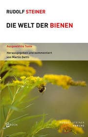 Cover von Die Welt der Bienen