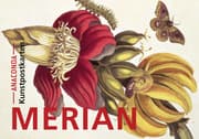 Cover von Postkarten-Set Maria Sibylla Merian