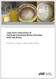 Cover von Long-Term Interactions of Full-Scale Cemented Waste Simulates with Salt Brines