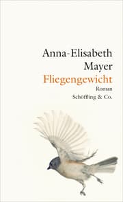 Cover von Fliegengewicht