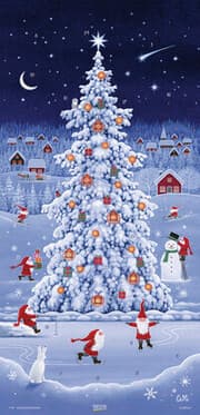Cover von Adventskalender 'Tomtes Weihnachtsfreuden'