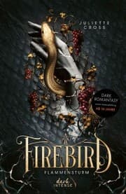 Cover von Flammensturm (Band 1) - Firebird