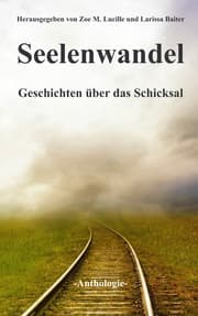 Cover von Seelenwandel