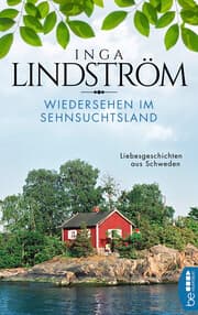 Cover von Wiedersehen im Sehnsuchtsland