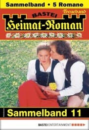 Cover von Heimat-Roman Treueband 11