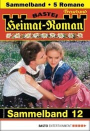 Cover von Heimat-Roman Treueband 12