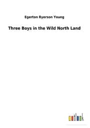 Cover von Three Boys in the Wild North Land