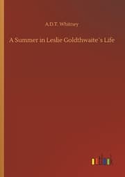 Cover von A Summer in Leslie Goldthwaite's Life