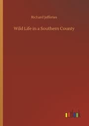 Cover von Wild Life in a Southern County