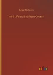 Cover von Wild Life in a Southern County