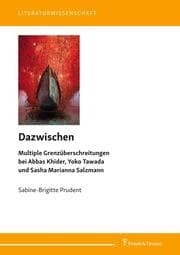 Cover von Dazwischen - Multiple Grenzüberschreitungen bei Abbas Khider, Yoko Tawada und Sasha Marianna Salzmann