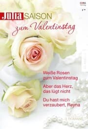 Cover von Julia Saison Band 29