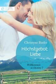 Cover von Höchstgebot: Liebe