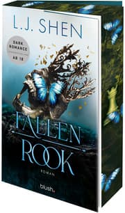 Cover von Fallen Rook