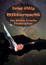 Cover von Mitternacht
