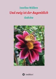 Cover von Und ewig ist der Augenblick