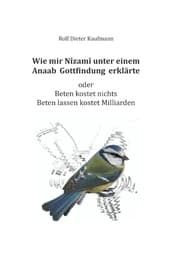 Cover von Wie mir Nîzamî unter einem Anaab Gottfindung erklärte