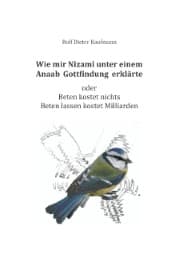 Cover von Wie mir Nîzamî unter einem Anaab Gottfindung erklärte