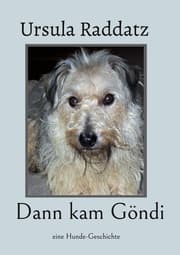 Cover von Dann kam Göndi