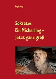 Cover von Sokrates Ein Mickerling - jetzt ganz groß