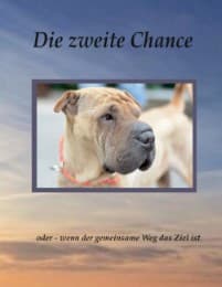 Cover von Die zweite Chance