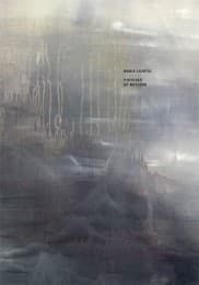 Cover von Nadia Lichtig.Pictures of Nothing