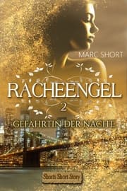 Cover von Racheengel 2