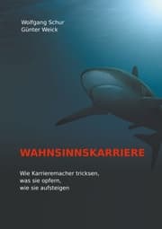 Cover von Wahnsinnskarriere