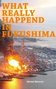 Cover von What really happened in Fukushima
