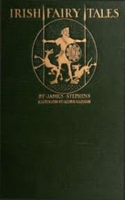 Cover von Irish Fairy Tales