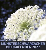 Cover von Münsterschwarzacher Bildkalender 2027