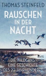 Cover von Rauschen in der Nacht