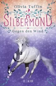 Cover von Silbermond: Gegen den Wind