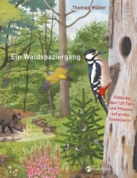 Cover von Ein Waldspaziergang