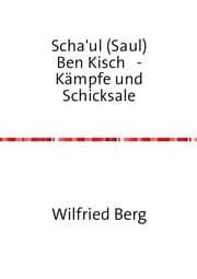 Cover von Scha'ul (Saul) Ben Kisch - Kämpfe und Schicksale
