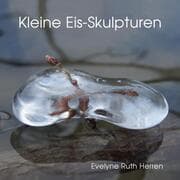 Cover von Kleine Eis-Skulpturen