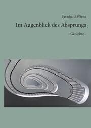 Cover von Im Augenblick des Absprungs