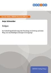 Cover von Erdgas