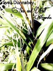 Cover von Sea and Fall
