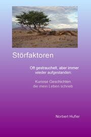 Cover von Störfaktoren
