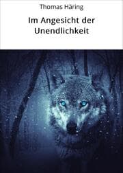 Cover von Im Angesicht der Unendlichkeit