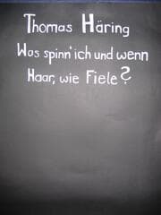 Cover von Was spinn' ich und wenn Haar, wie Fiele?