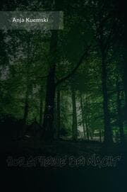 Cover von Horstheide bei Nacht