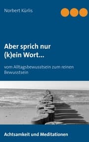 Cover von Aber sprich nur (k)ein Wort...